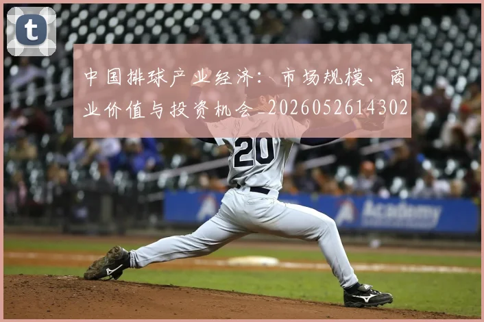 中国排球产业经济:市场规模、商业价值与投资机会_20260526143026